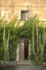 Corse 2008 045 (Small).jpg